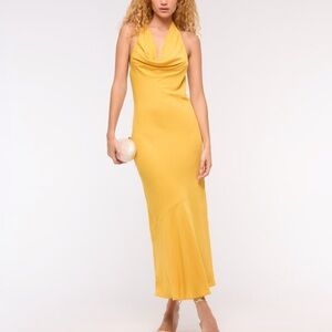 Abercrombie cowl maxi dress
